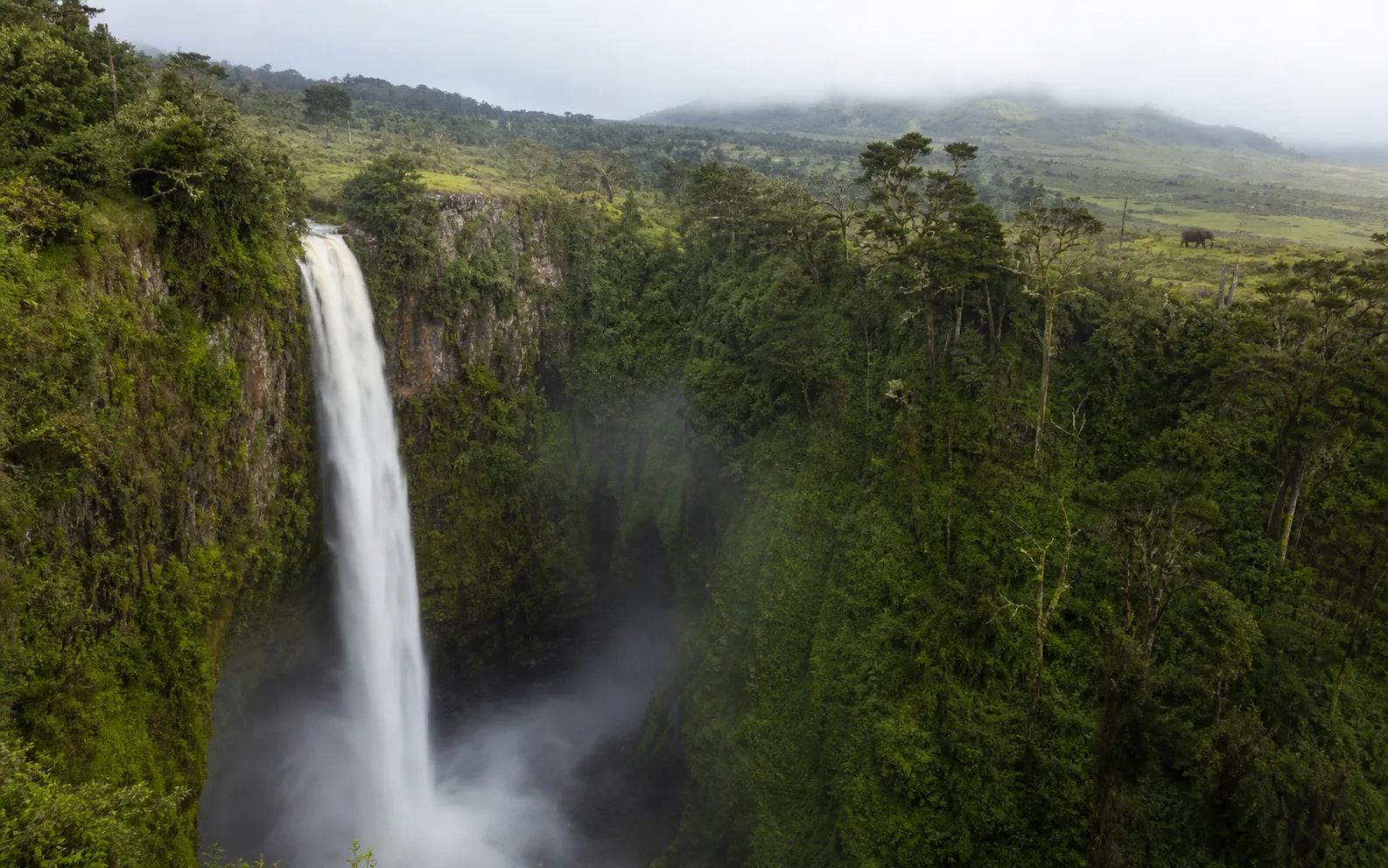Waterfall plunging through the misty forests of the Aberdare Highlands