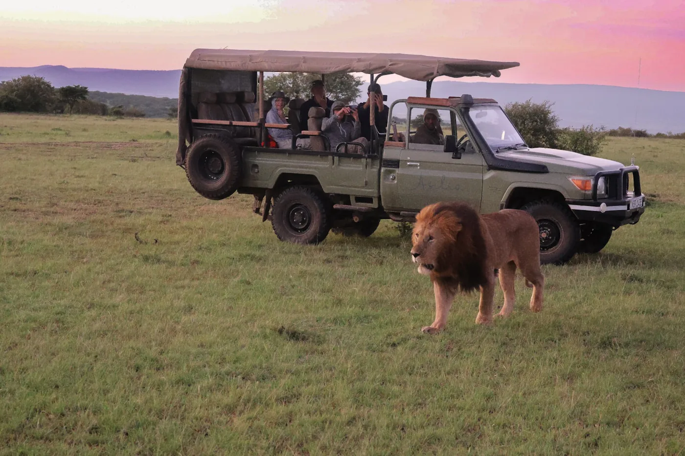 3 Days Amboseli Safari